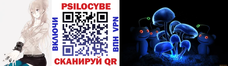 Псилоцибиновые грибы Cubensis  Купить закладки  Чёрмоз 